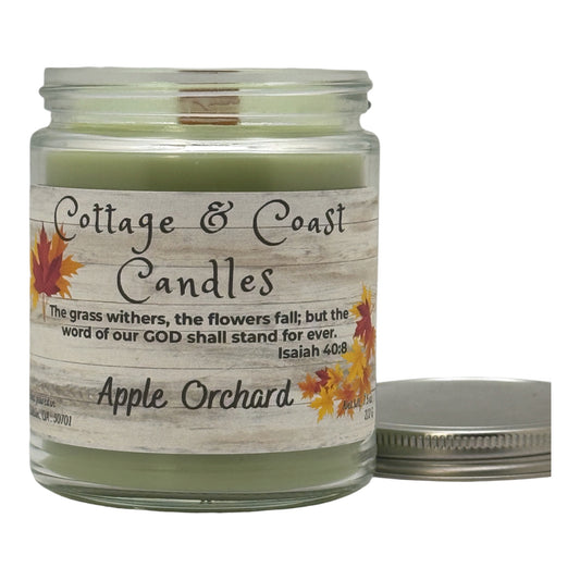 Apple Orchard