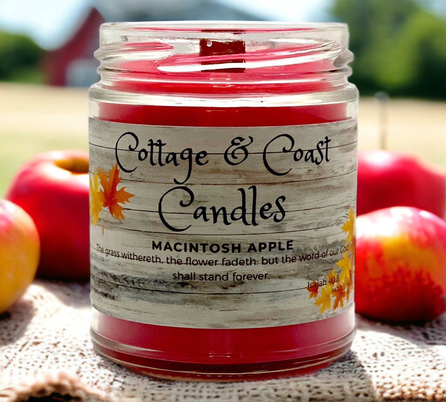 Macintosh Apple