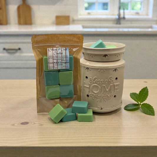 Fresh Mint & Eucalyptus | Artisan Wax Melts
